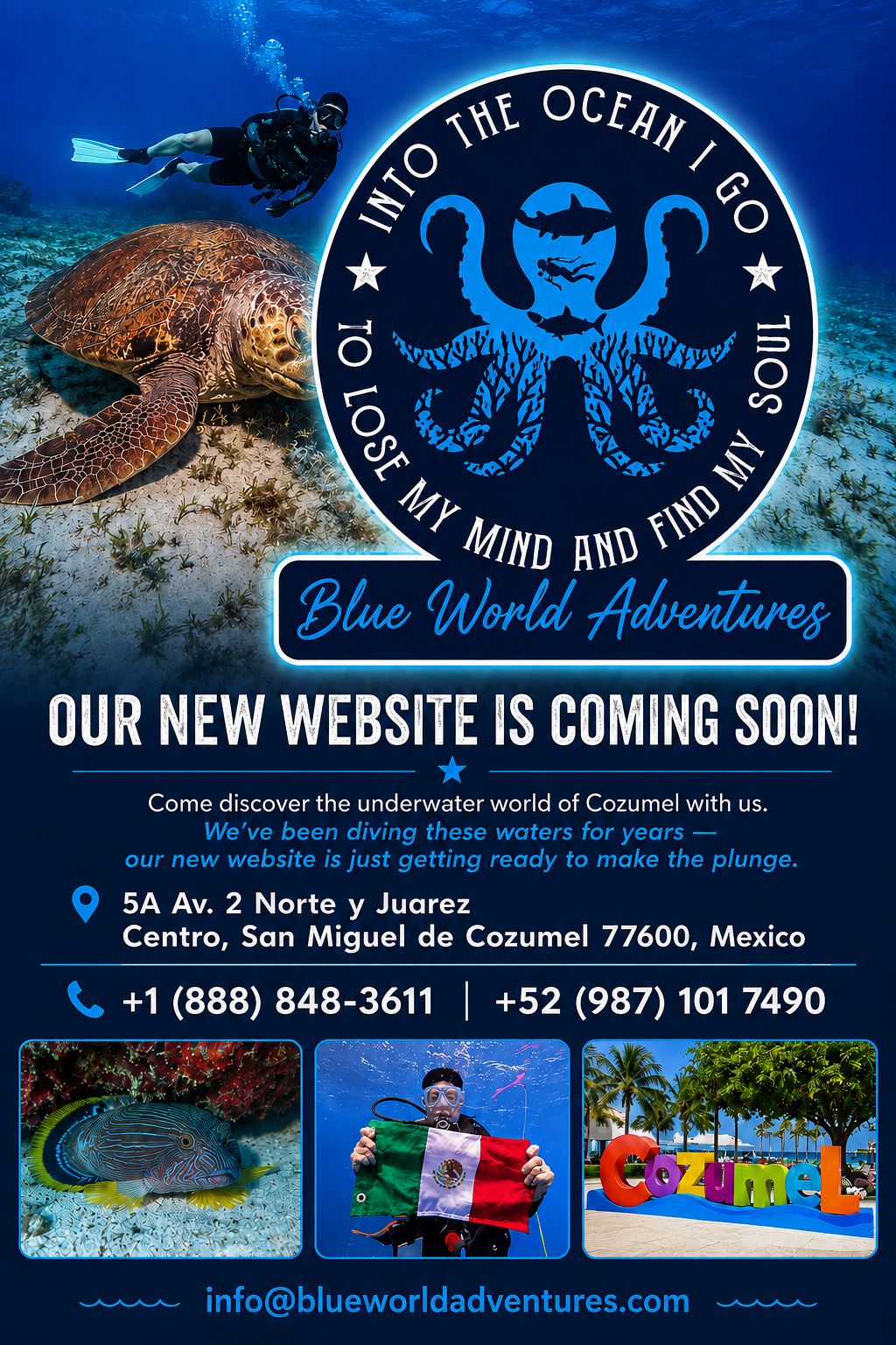 Blue World Adventures, Cozumel, Mexico. Our new website is coming soon. Contact: info@blueworldadventures.com, +1 (888) 848-3611, +52 (987) 101 7490.